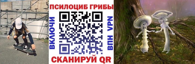 Купить где Боровск Галлюциногенные грибы Psilocybe